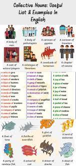 Collective Nouns Useful List Examples In English 7 E S L Foodanddrinkinenglish Collective Nouns Nouns Animals Images