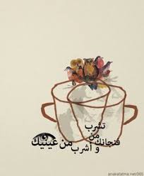 Not Found Camels Art Cute Wallpapers Picture Logo