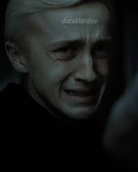 Stalker Harry X Draco