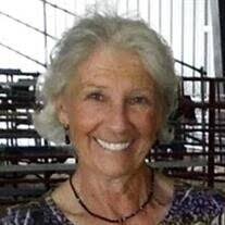 Betty Ann Mohr Obituary