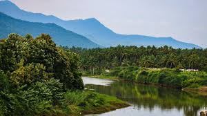Mettupalayam