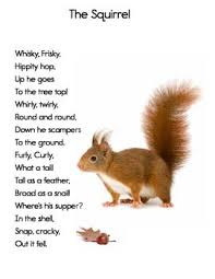 Free Downloadable Poem The Squirrel Kids Poems Poetry For Kids Preschool Poems