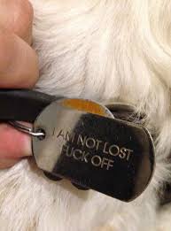 Unlike metal tags that slip over your dogs collar, this one cannot hurt your dog because there is nothing harmful digging into the skin. 44 Hilarious Collar Tags For Pets Who Tend To Get Lost Bored Panda
