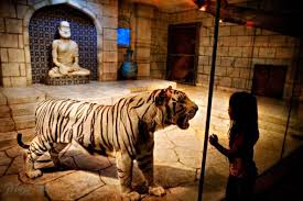 Houston S Downtown Aquarium So Much To See And Do Downtown Houston Houston Aquarium Tiger Habitat