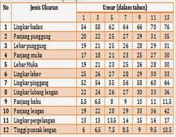 Ukuran Standart Anak Perempuan 2 Jpg 633 493 Balita Perempuan Model Baju Anak Laki Gaun Bayi Perempuan