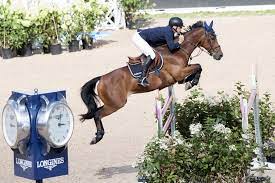 Han visade upp fin balans och red in på 66,43 sekunder och det gjorde. Fairytale Finish As Sweden S Peder Fredricson Wins Jumping Title Horses Daily