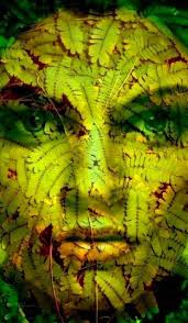 The Green Face Of Nature Superbe On Voie Que Du Feu Trop Bien Fait Le Visage Warter De Http Www Home Template Com Template Magie Verte Visage Photos Paysage