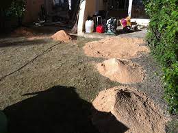 We did not find results for: Comment Preparer Le Sol Pour Mettre Du Gazon Synthetique Gazon Et Pelouse Synthetiques Marseille Univers Gazons