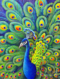 His Splendor By Nancy Cupp In 2021 Peacock Painting Peacock Art Animal Paintings