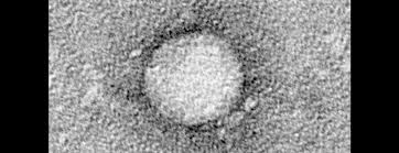 Heavy alcohol use, toxins, some medications, and certain medical conditions can cause hepatitis. Teil 1 Ubersicht Hepatitis B Und C Sowie Hepatitis C Im Fokus Forum Medical Suisse