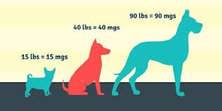 Also, the medication should be given only when needed, for a maximum of three times a day. Benadryl For Dogs Dosage How Much To Give And Is It Safe