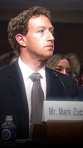 Mark Zuckerberg Surf