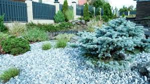 Discount99.us has been visited by 1m+ users in the past month How To Plant And Grow A Colorado Blue Spruce Tree Hgtv