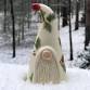 Clay Winter Gnome event in Fremont, MI