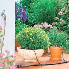 Arrosage Goutte A Goutte Avantages Et Installation Truffaut
