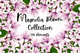 Mail) both.svg and.eps files are vector files and can be resized (scaled) to any size without losing image quality. Craft Cricut Magnolia Svg Free Svg Cut Files For Cricut Maker