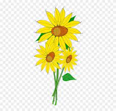 Animasi kartun vektor minimalis bunga bunga matahari gambar unduh. Sunflowers Clipart Bunga Matahari Sunflower Clip Art Free Transparent Png Clipart Images Download