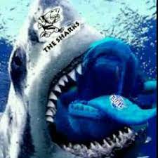 It doesn't matter where you are, our rugby streams are available worldwide. 37 Sharks Rugby Ideas Rugby Shark Rugby Sport