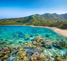 Gambar pemandangan lautan horison awan langit 10 Surga Bawah Laut Indonesia Destinasi Cantik Untuk Liburan Tak Terlupakan