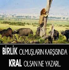 Kral Olsan Ne Fayda Komik Hayat Bilgisi Guzel Soz