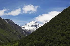 Valley of flowers uttarakhand hd images. 292 Valley Flowers Uttarakhand Photos Free Royalty Free Stock Photos From Dreamstime