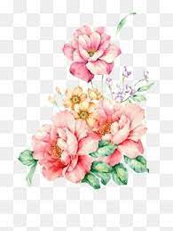 Flowers Clipart Hand Painted Png Transparent Image And Clipart For Free Download Aquarela Floral Pinturas De Flores Vetores Florais