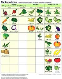 Square Foot Gardening Cilantro Plant Spacing Chart Raised