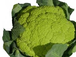 Anche le foglie sono commestibili come verdura cotta, soprattutto le più giovani e tenere, spesso si usa metterle in zuppe. Cavolfiore Verde O Cavolo Verde O Cimone Ricette E Descrizione Alimentipedia It