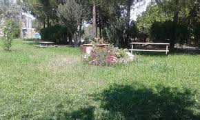 Yesil Bahce Mahmut Un Yeri Home Denizli Menu Prices Restaurant Reviews Facebook