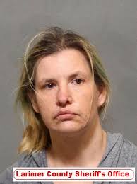 1 arrested after Northern Colorado Drug Task Force seizes suspected  fentanyl, meth