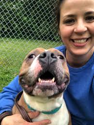 Adoptable dog enjoys pup cup and outing