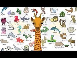 Baby Animal Names What Are The Names Of Baby Animals And Their Parents In English Learn T Animals Name With Picture Animals Name In English Animals Name List