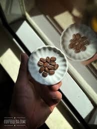 Specialty Coffee Beans By Coffeellera Coffee Roasting Roasted Coffee Beans Specialty Coffee Beans