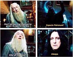 Malfoy Lydia Malfoy Twitter