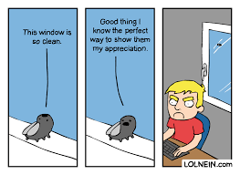 Clean Window Funny Memes Window Cleaner Top Funny