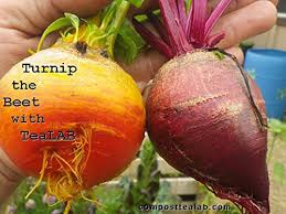 This assures its soil healing and strengthening quality and is the best compost for gardens. Bokashi Fermented Organic Matter 16 Cups Buy Online In Maldives At Maldives Desertcart Com Productid 21882892