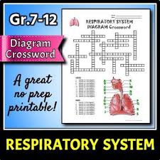 The crossword solver solves clues to crossword puzzles in the uk, usa & australia. Help Students Learn And Remember The Parts Of The Brain Using This Diagram Crossword Bonus Activity W Ap Psychology Health Science Education Medical Coding