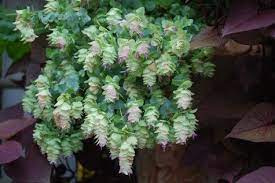 Pin On Gardening Outdoor Spaces