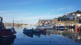 Little Winnick THS — Tamar District Association