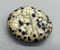 Check spelling or type a new query. What Is Dalmatian Stone It Is Not A Jasper