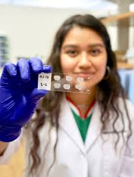 Research Program Prepares Students for Life After College