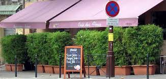 Empfehlenswert sind viereckige kübel, da das wurzelwerk dort mehr platz als in einem runden kübel hat. Bambus Im Kubel Kultivieren Bambusborse