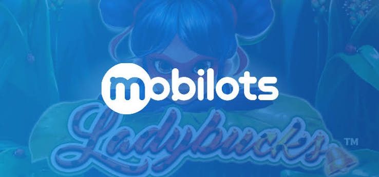 Mobilots