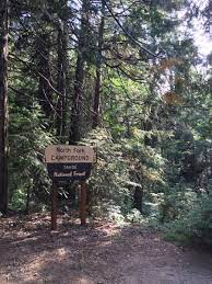 Maybe you would like to learn more about one of these? North Fork Campground Tahoe Ca 4 Hipcamper Reviews And 7 Photos