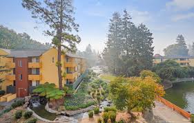 Looking for an apartment / house for rent in mountain view, ca? Mountain View Apartments For Rent Americana Apartments