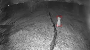 Ghost caught on camera chills com: Texas Home Security Camera Captures Eerie Photos Over Holiday Weekend Wrbl