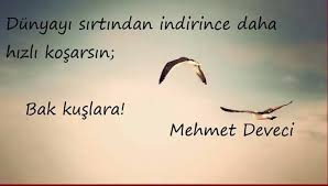 Bak Kuslara Kaleler Ozlu Sozler