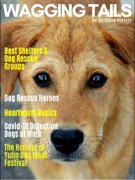 Maybe you would like to learn more about one of these? Wagging Tails Magazine For Android Apk Download