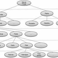Linnaean Classification Scheme Download Scientific Diagram