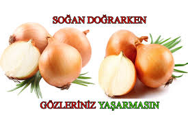 Sogan Dograrken Gozleriniz Yasarmasin Sogan Yaslanma Yerler